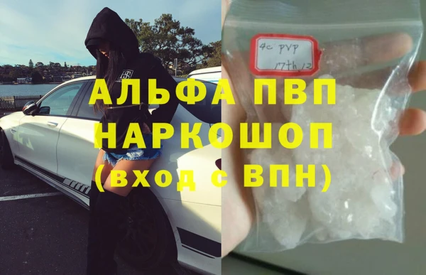 СК Аркадак