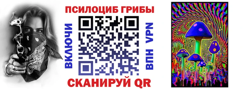 продажа наркотиков  дарк нет наркотические препараты  Псилоцибиновые грибы GOLDEN TEACHER  Барыш 