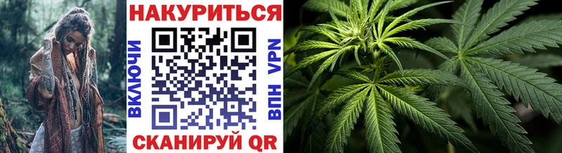 Конопля Amnesia  блэк спрут вход  Барыш 